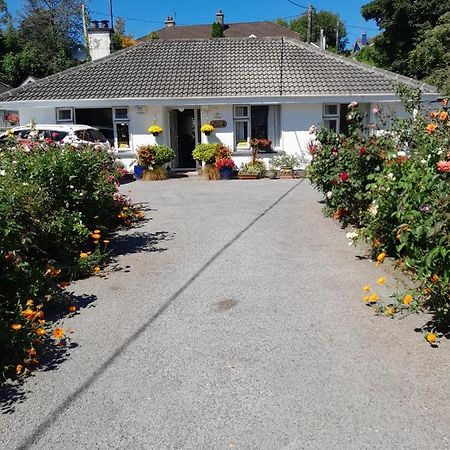 Saint Martin'S Bed And Breakfast Bandon Eksteriør bilde