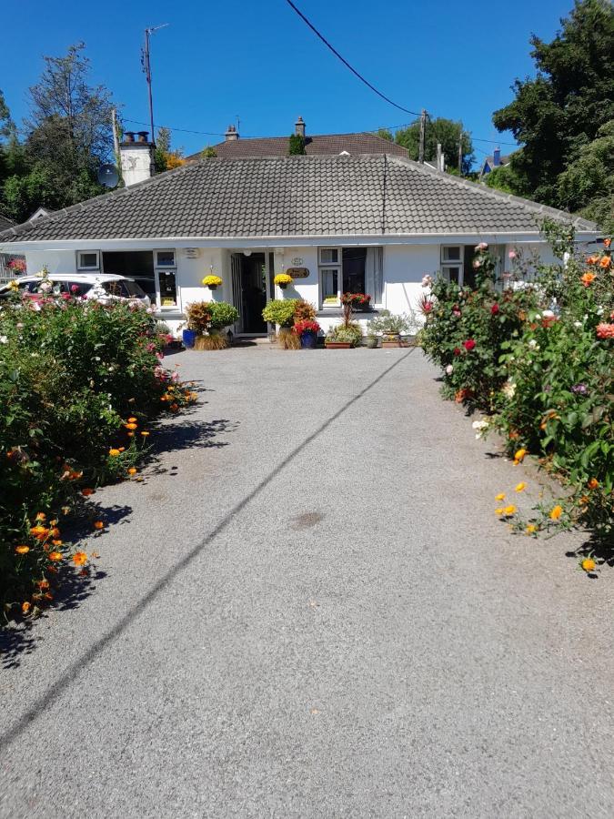 Saint Martin'S Bed And Breakfast Bandon Eksteriør bilde